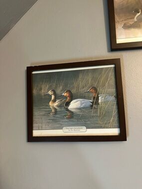 Framed Duck Wildlife Print in Brown Frame